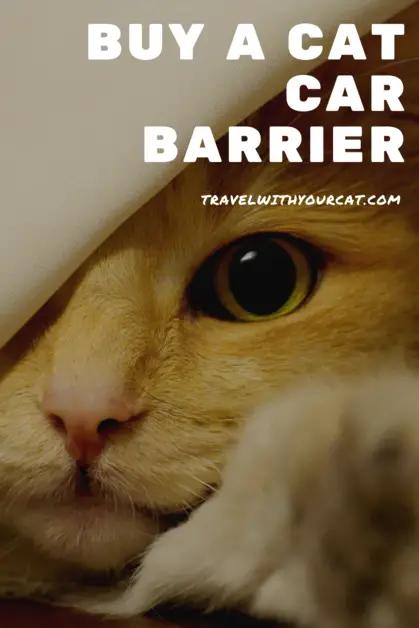 cat barrier