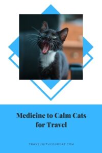 Medicine To Calm Cats For Travel - Travel With Your Cat