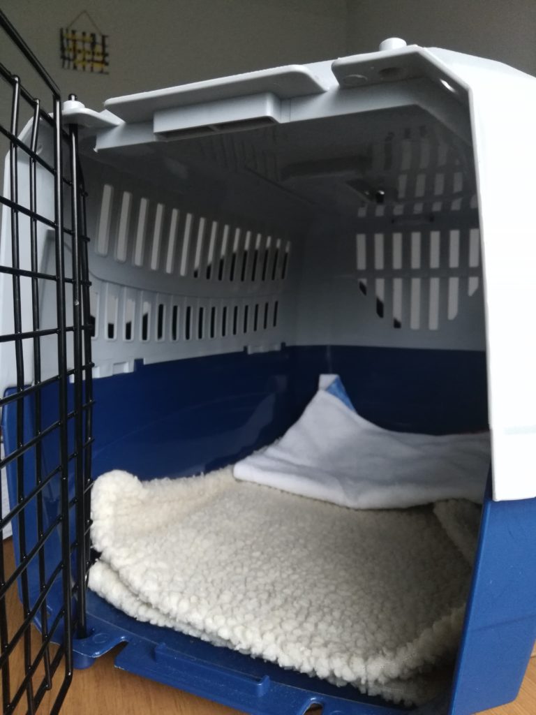 Inside of an Argos cat carrier