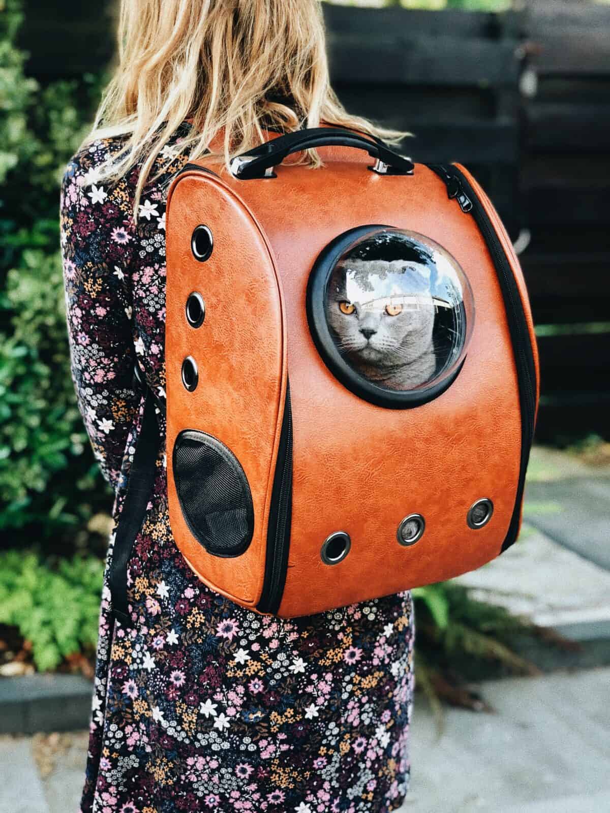 travel backpack cat