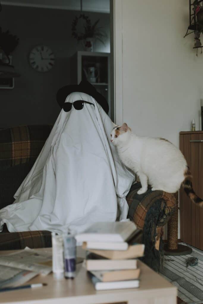 cat scared sitting next to man in sheet
