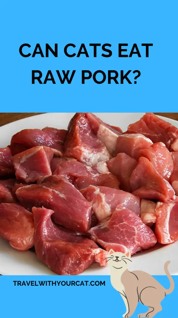 plate of raw pork on a blue background with post title overlay